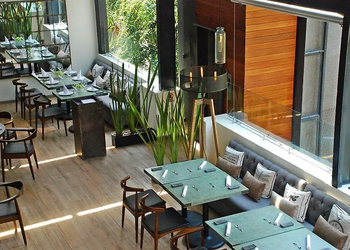 Busue A Boutique Experience Hotel México DF
