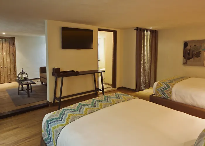 Busue A Boutique Experience Hotel México DF